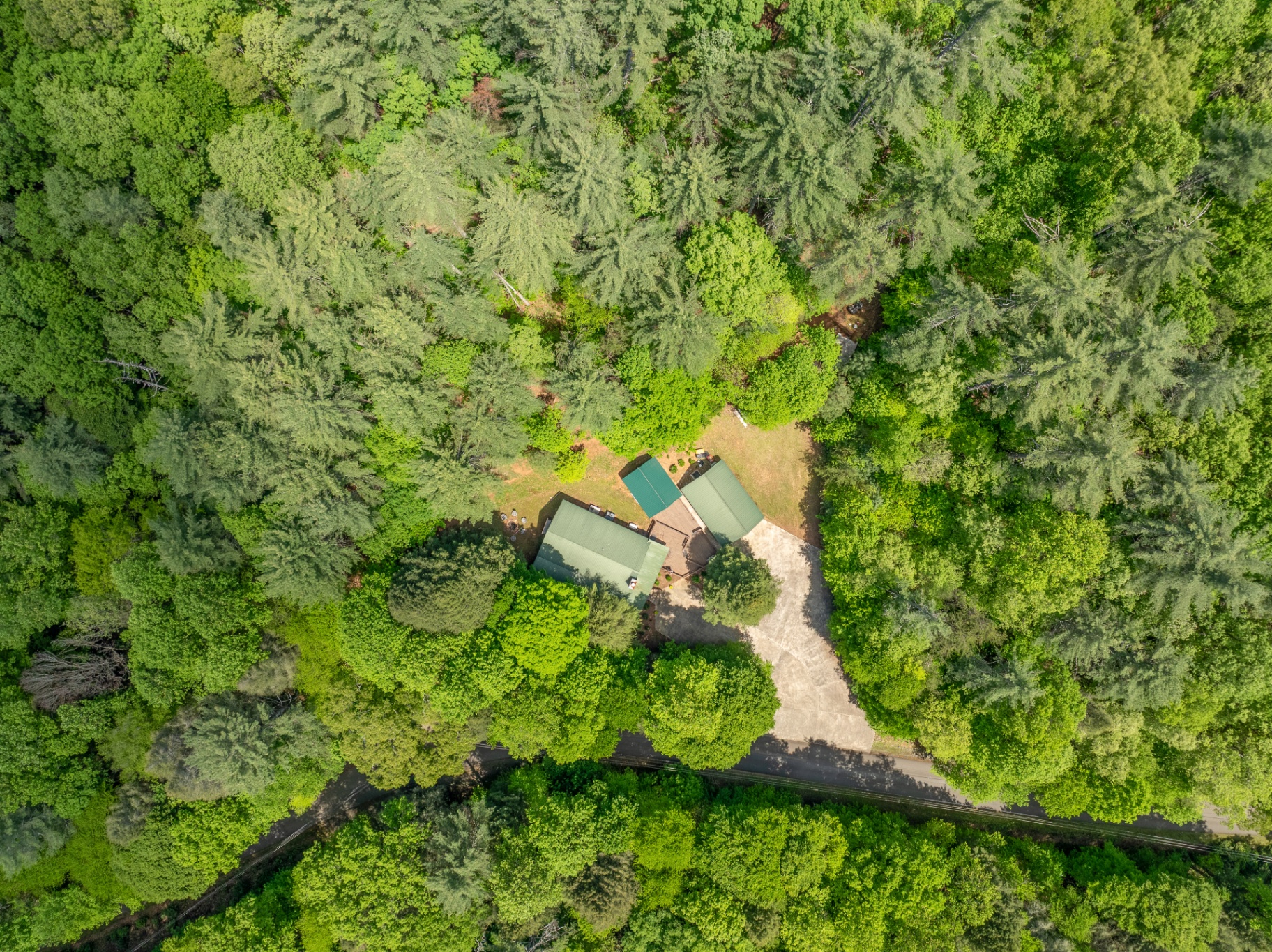 Aerial view showing the cabin secluded in dense North Georgia forest