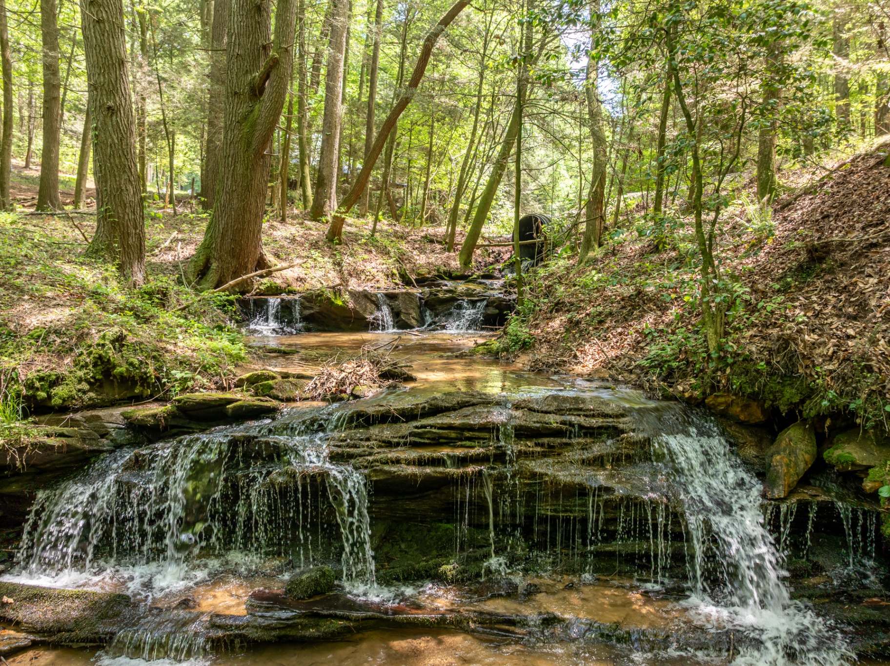 Private waterfall on the property, cascading over mossy rocks